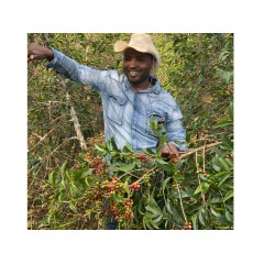 【果實纍纍】衣索匹亞 巴夏拉蓋列水洗站／瓜地馬拉 寶石莊園【合計一磅】