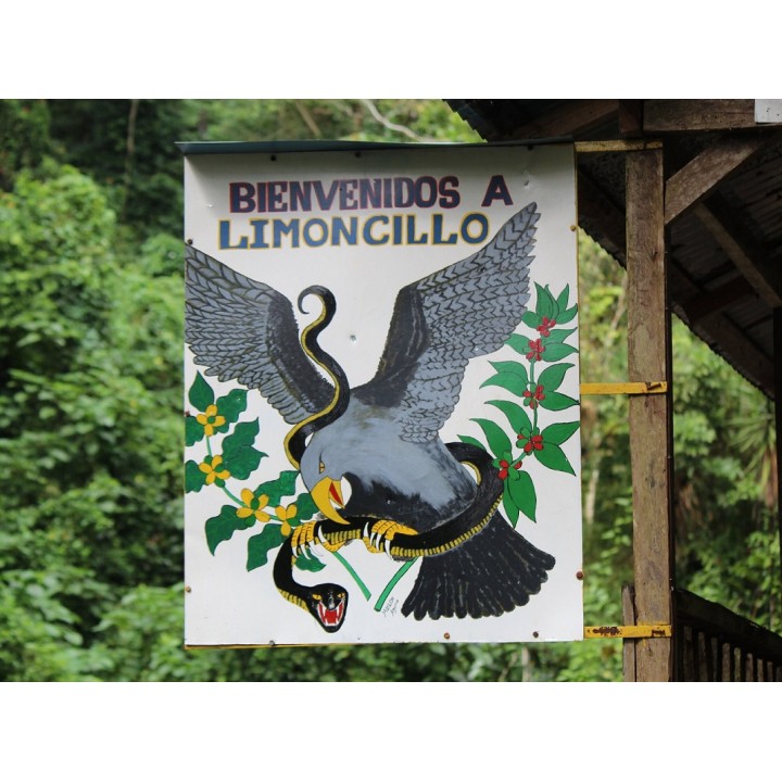尼加拉瓜 檸檬樹莊園 爪哇長顆種 蜜處理