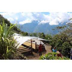 十一月新鮮上架－祕魯 庫斯科區 梅薩帕塔莊園 波旁種 水洗處理