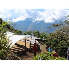 祕魯 庫斯科區 恰契瑪幽莊園 鐵皮卡種 水洗處理 批次3329