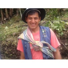 祕魯 庫斯科區 貝洛潘帕莊園 鐵皮卡種 水洗處理 批次4116